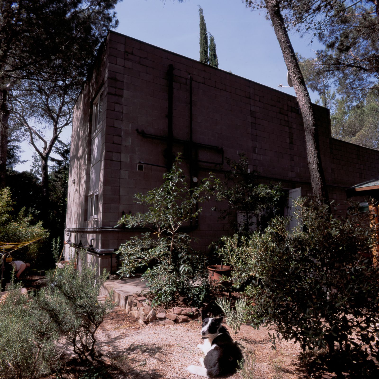 Vista exterior d'una casa de blocs de formigó envoltada de vegetació exuberant, amb un gos estirat a terra en primer pla i arbres proporcionant ombra al fons.