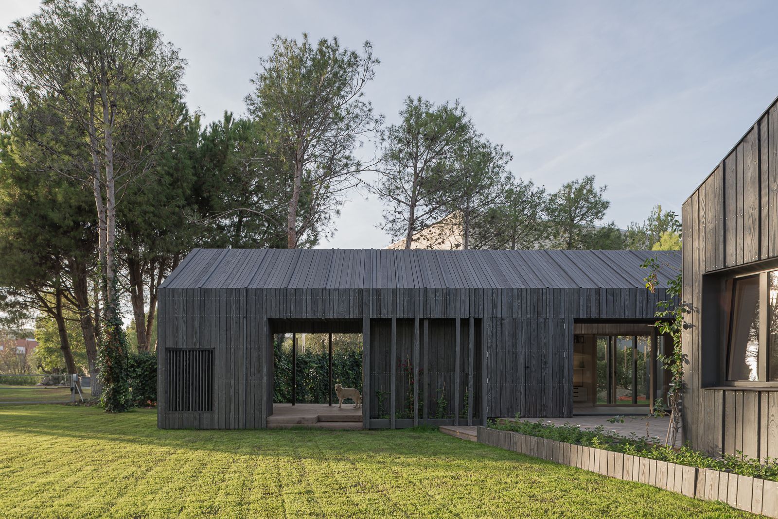 Casa moderna amb un sostre inclinat, revestiment de fusta fosca, grans finestres i un gespa espaiós, envoltada de pins.