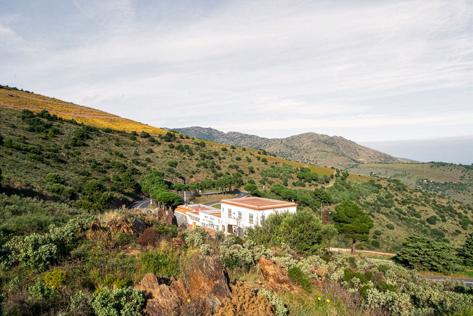 Una vista escènica d'un edifici blanc envoltat de turons coberts d'arbustos i diferents cactus, amb una carretera sinuosa i un teló de fons muntanyós sota un cel parcialment ennuvolat.